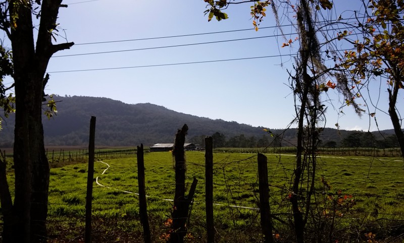 Farmlands north of La Esperanza 